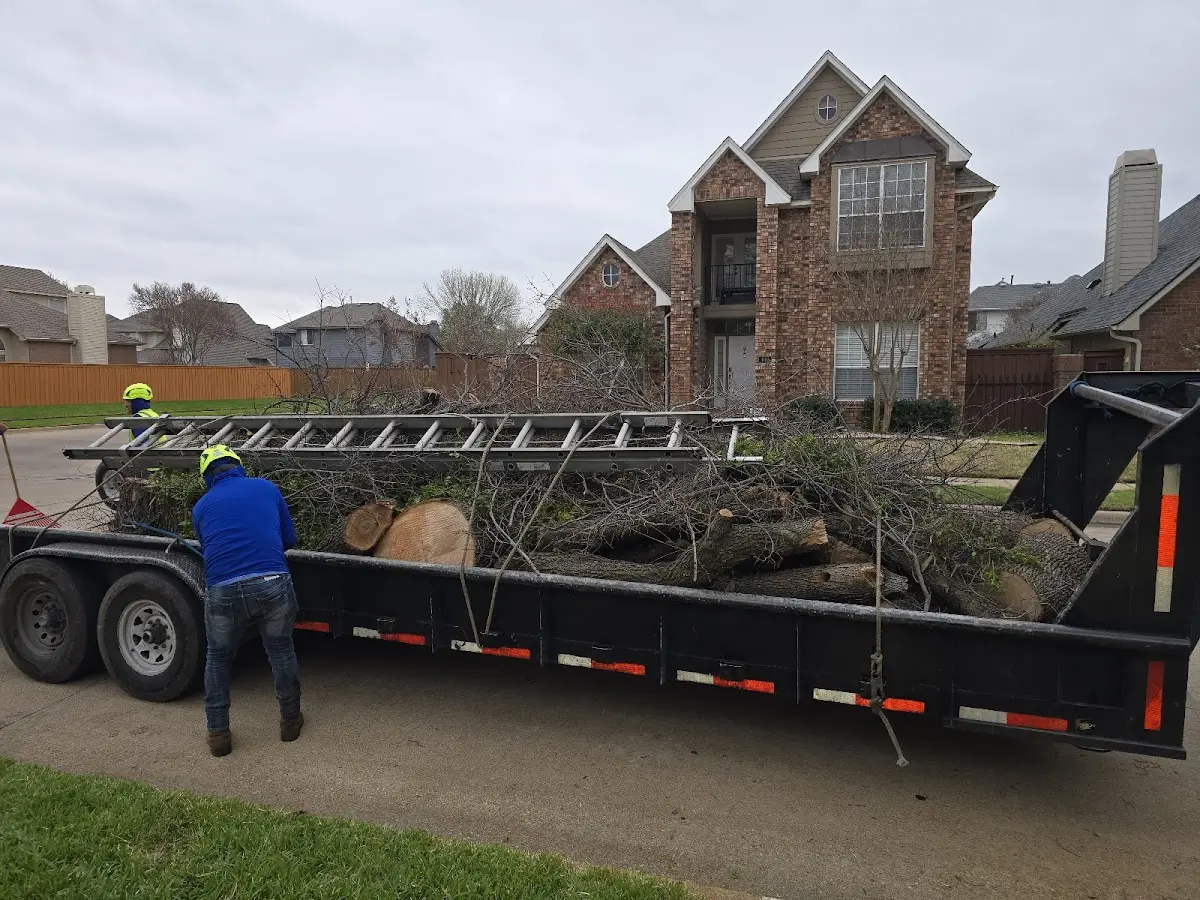 Expert Tree Pest Control with proper safety equipment in Minnewaukan